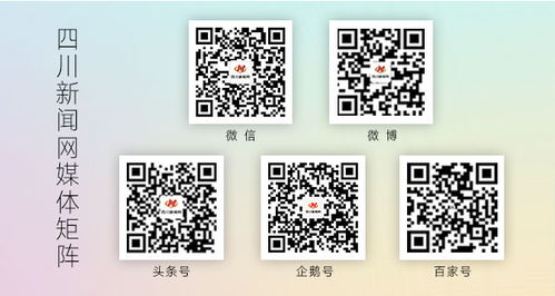四川發(fā)布校外培訓機構廣告規(guī)范提示，數(shù)字內(nèi)容制作服務需注意這些“紅線”