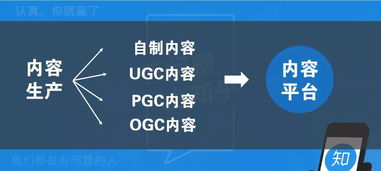 數(shù)字內(nèi)容制作服務在內(nèi)容運營策略中的核心作用與實踐路徑分析